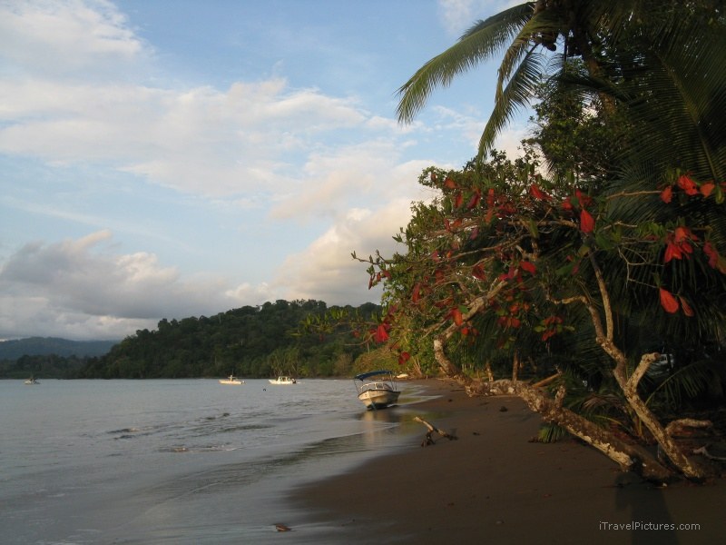 Bahia Drake beach